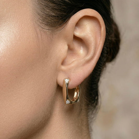 The Prism Vertex Hoops